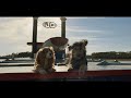 La Belle Et Le Clochard Bande Annonce Disney