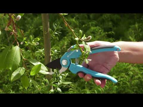 Cellfast - Pruners and shears - Basic rules for use and maintenance