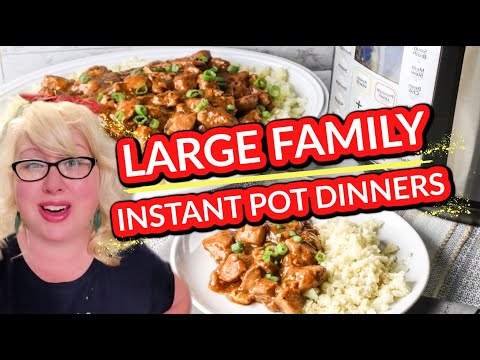 😍LARGE FAMILY INSTANT POT RECIPES | Easy Chicken and...
