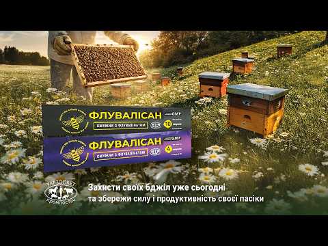Відео превʼю