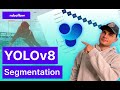 Instance Segmentation In 12 Minutes With YOLOv8 And Python
