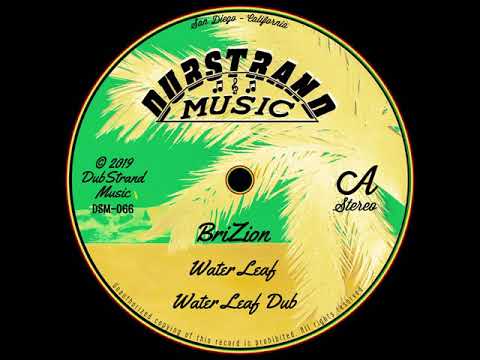 BriZion - Water Leaf