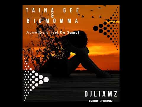 Dj Liamz x Taina Gee & Big Momma_(Do U Feel Da Same)