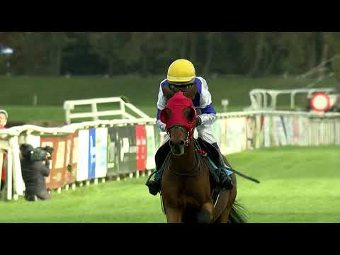 23. 10. 2021 - 1. dostih poníků