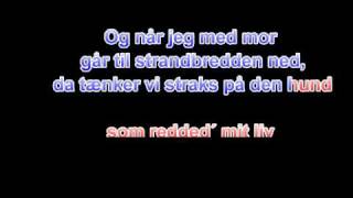 John Mogensen - Skibshunden - Lyrics