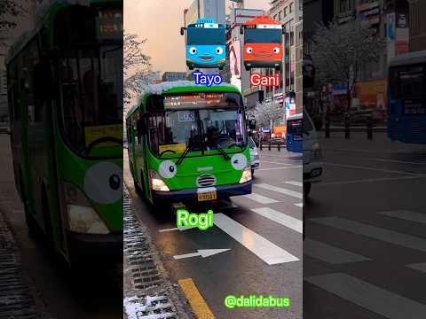 Real Tayo World 💚❤️💙💛 #Rogi