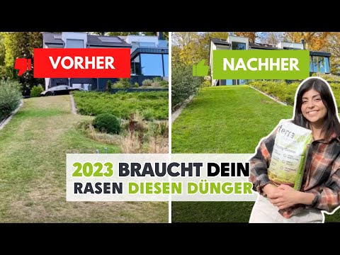 Diesen Dünger solltest du 2023 deinem Rasen geben
