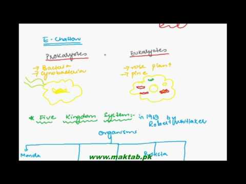 FSc Biology Book1, CH 5, LEC 4: Two to Five Kingdom System of Classification(Part 2)