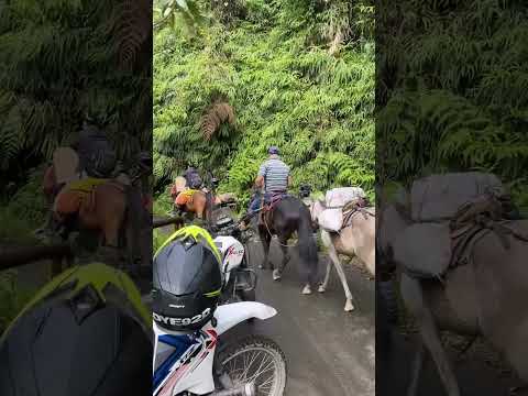 Expedición Esmeralda - Chivor, Boyaca, Colombia 1/2