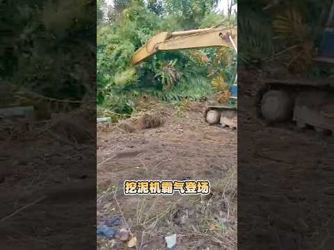 Episode 3: First Week of Work, A “Welcome Gift” from Mother Nature!