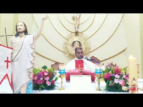 Live Sunday Holy Mass | April 26 | 7.00 am