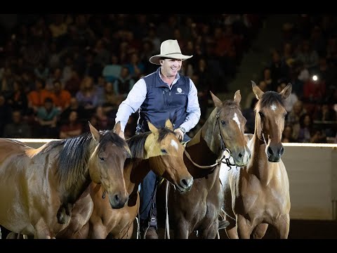 Equine Affaire Fantasia Interview - Guy McLean