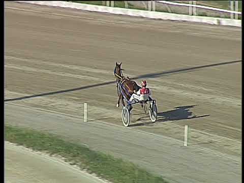 Trotto 13/05/2018 - prova di qualifica