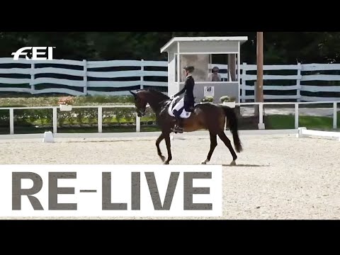 RE-LIVE | Grand Prix Part 1 - FEI Dressage European Championship U25 | Pilisjászfalu (HUN)