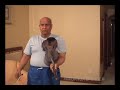 Sri Chinmoy Early Morning Prayers And Meditations In China 2005