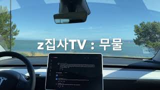 z집사TV: 미국 제약회사 무물 2024