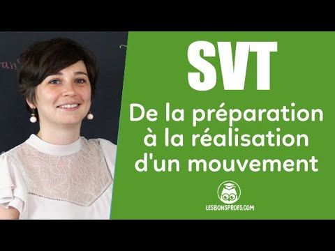De la préparation à la réalisation d'un mouvement