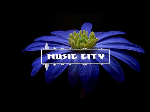 People Like You - Lvly feat. Jaslyn Edgar [2010s Pop]