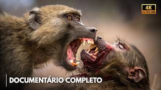 OS SEGREDOS DA TANZÂNIA | A Vida Selvagem Mais Implacável da África - Documentário