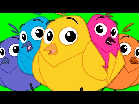 Five Little Birds | Children's Nursery Rhymes | Bird Song | Kids TV