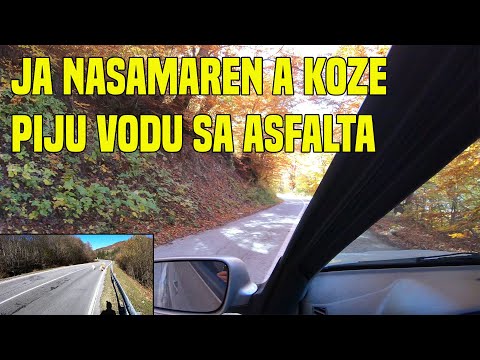 U KALINOVIKU KOD FOČE SU ME NASAMARILI  - RIČI U POTRAZI ZA VODOM