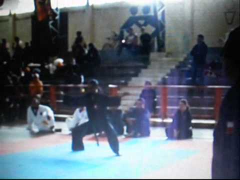Lung chuang kung fu los vilos