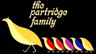 The Partridge Family-It's All In Your Mind
