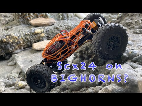 Scx24 on BIGHORNS?!! Do they work?