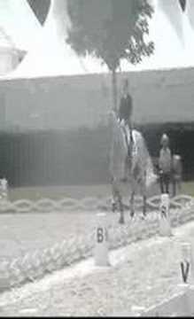 Matine & Andreas Helgstrand WEG 2006