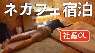 [問卦] 平常天去日本玩484會hen罪惡