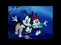 Paródia Flipper Animaniacs Dublado Ative As Legendas Estéreo