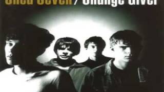 Shed 7 - Dolphin (audio)