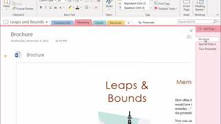 Navigate the OneNote Environment