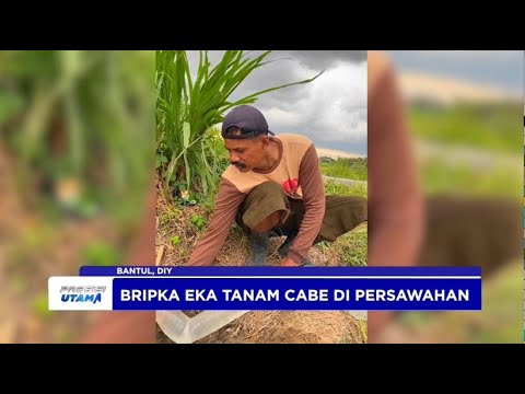 POLRES BANTUL PATROLI &amp; KETAHANAN PANGAN