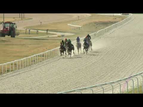 2022.08.07. 05. futam - NÉMETH FERENC EMLÉKKUPA IV. FUTAMA HENDIKEP (IV.o.)(szintetikus pálya)