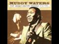 Muddy Waters & Johnny Winter / Mean Old Frisco Blues - AUSEY1 Muddy Waters & Johnny Winter / Mean Old Frisco Blues