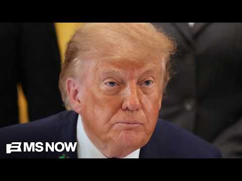 'Authoritarian state stuff': Dem strategist 'GOBSMACKED' by Trump using taxpayer money for ads