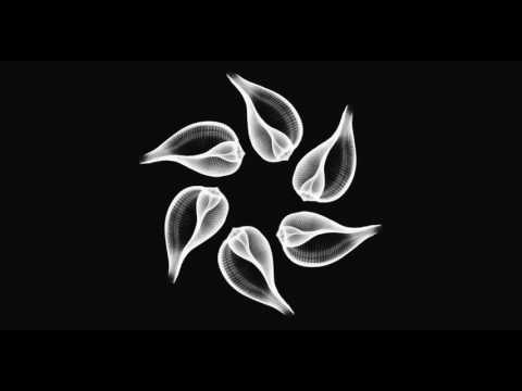 Betoko - Gimmie Da Groove (Manuel De La Mare Remix)