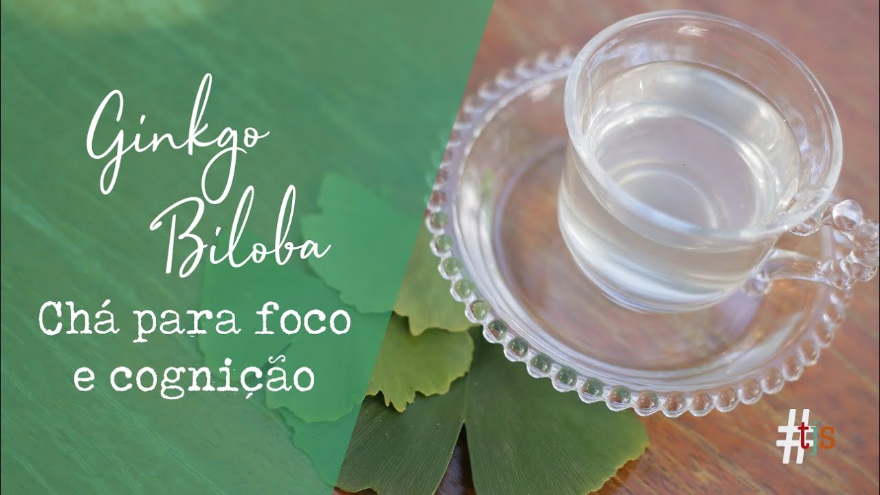 GINKGO BILOBA: CHÁ PARA FOCO E COGNIÇÃO