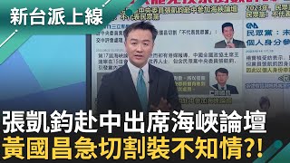 炸裂民眾黨? 張凱鈞出席海峽論壇 黃國昌