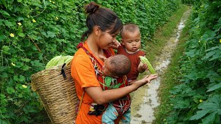 Single Mom - repairing house after storm, fetching bitter melon to sell at market/Small family life