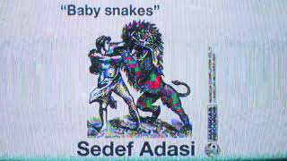 Sedef Adasi - Baby Snakes video