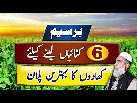 Fertilizer Plan for getting High yield of Berseem || Crop Reformer