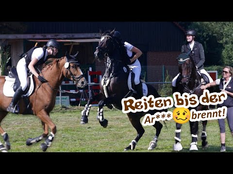 12 starts with 3 horses at the tournament in Menslage - Telgian conditioning training