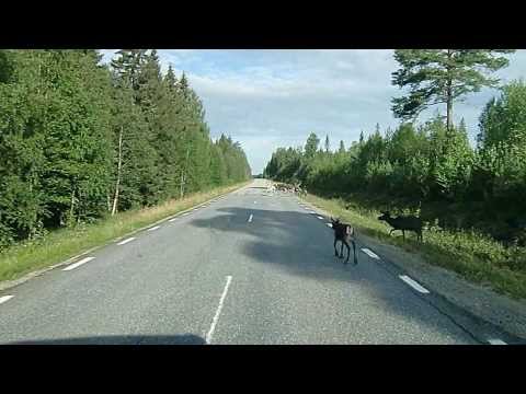 On the Road: Sweden 2010