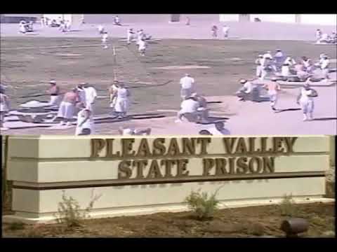 The Gangs Of The Cali S.N.Y. Yards ( Protective Custody) ( Northern Riders ) ( INDEPENDENT RIDERS )