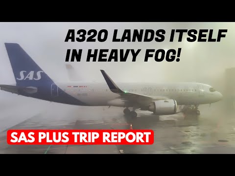TRIP REPORT | Autolanding In Intense Fog! | SAS Plus A320 – Oslo to Stockholm