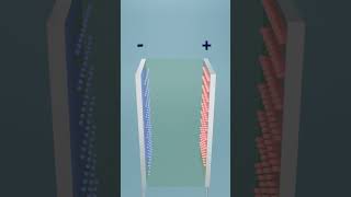 What’s Inside a Capacitor? : Explained in 60 Seconds