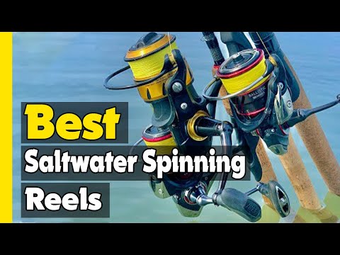 ✅Top 5: Best Saltwater Spinning Reels In 2023 🎣 [ Lightest Saltwater Spinning Reel ]