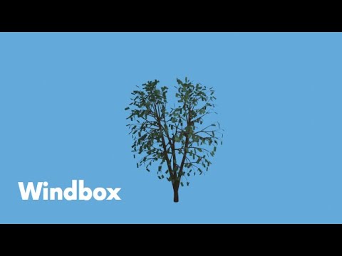 Windbox | Duke Summer STEM Academy 2022